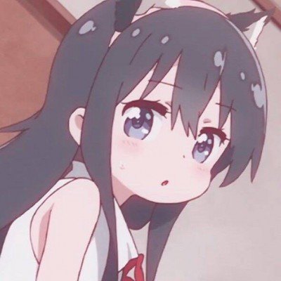新闻联播报道生命树旅游路线